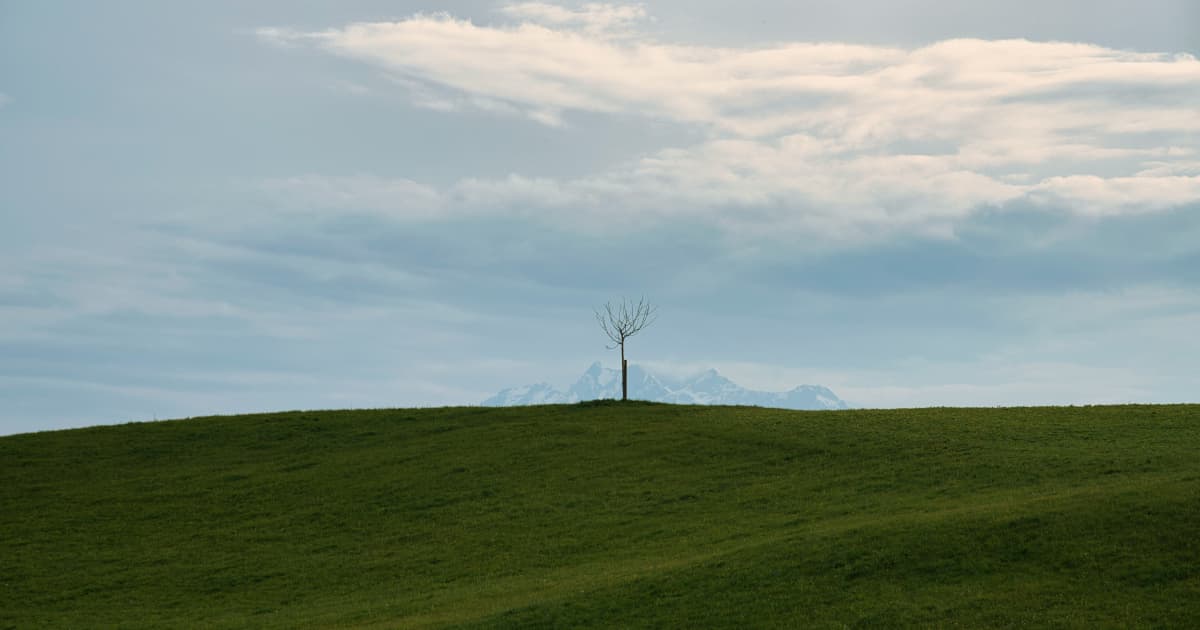 PowerBank Corporation Secures Municipal Approvals for New York Community Solar Projects