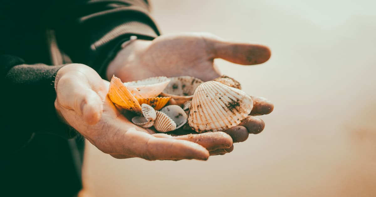 Hospice Care Remains Underutilized Despite Decades of Availability, VNANNJ Advocates for Increased Awareness