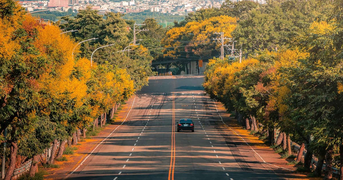 Sierra Leone Heritage Tour Creates Bridge Between Diaspora and Ancestral Roots