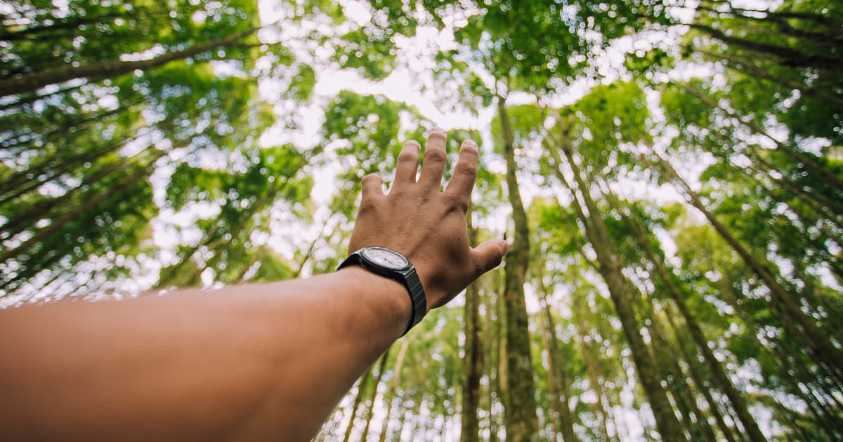 Strategic Capital Access Bridges Seasonal Cash Flow Gaps for Business Growth