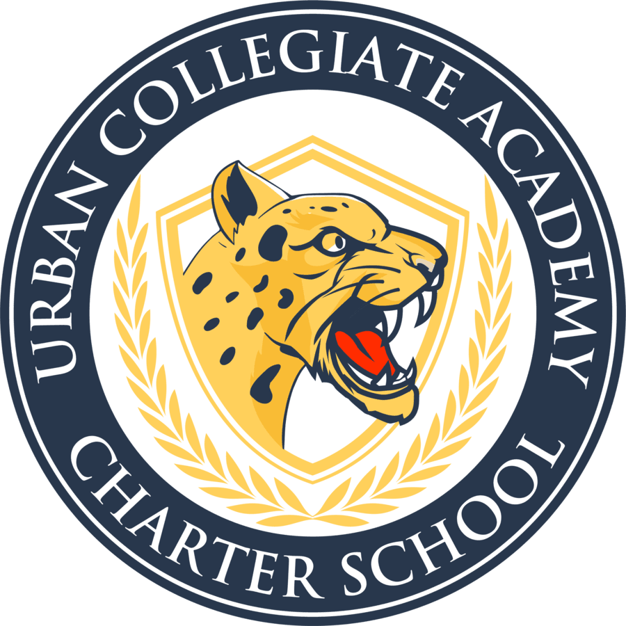Urban Collegiate Academy Charter School Proposed as Safety-Focused Alternative for Schenectady Students